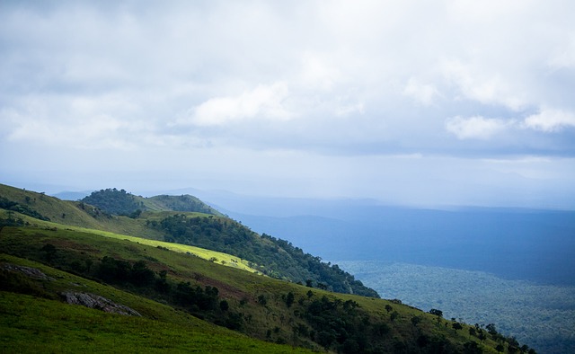 明星效应与 明星效应与