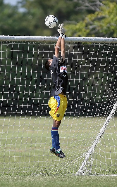 得以快速转 得以快速转