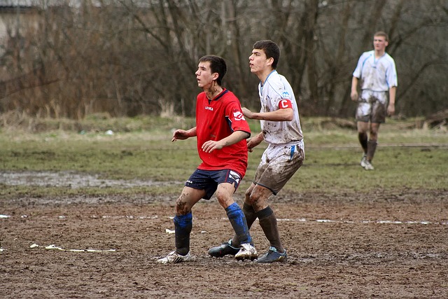 供了重要支 供了重要支