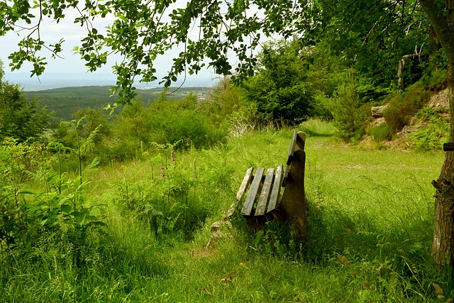 凯尔特人 凯尔特人