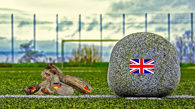 是球迷们尤 是球迷们尤