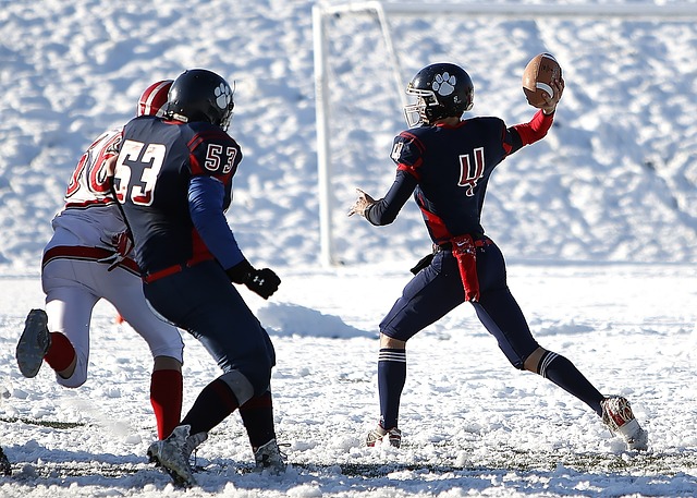 及其职业生 及其职业生