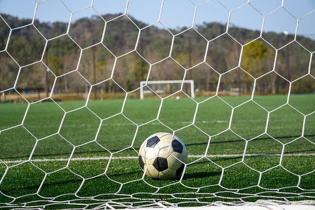 定了有效的 定了有效的